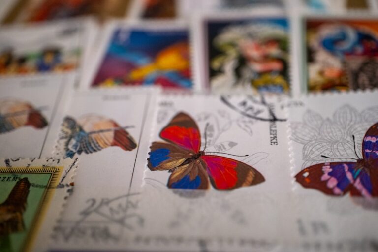 Exploring the Latest Trends in Card Designs and Collections